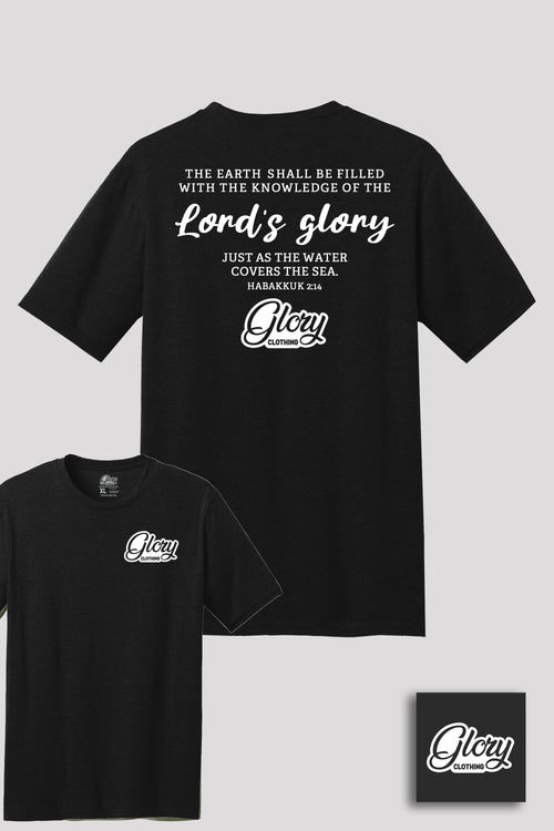 The Lord's Glory